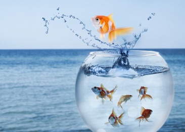 Image of Goldfish jumping out of water and beautiful seascape on background 