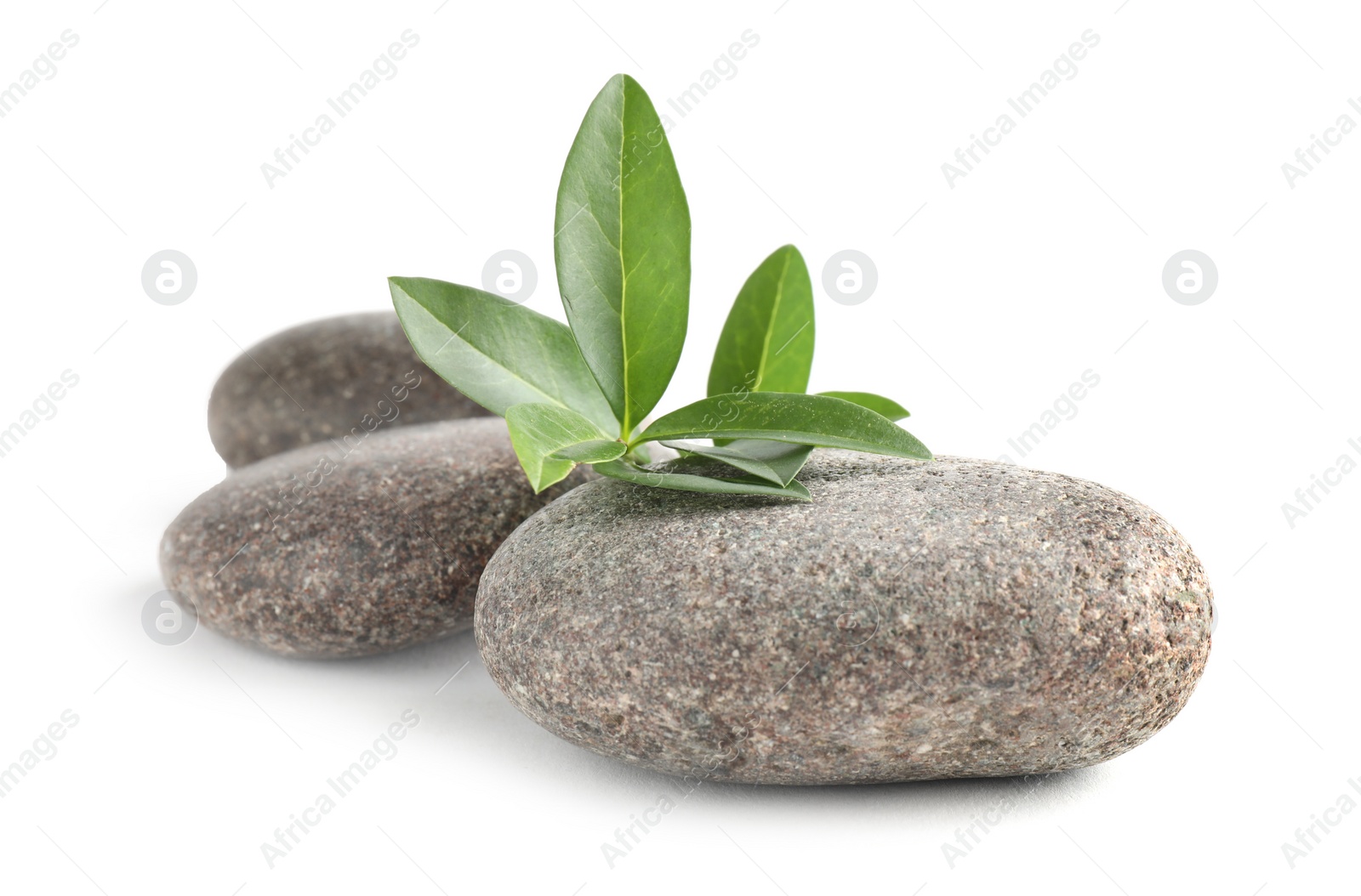 Photo of Spa stones with green branch isolated on white