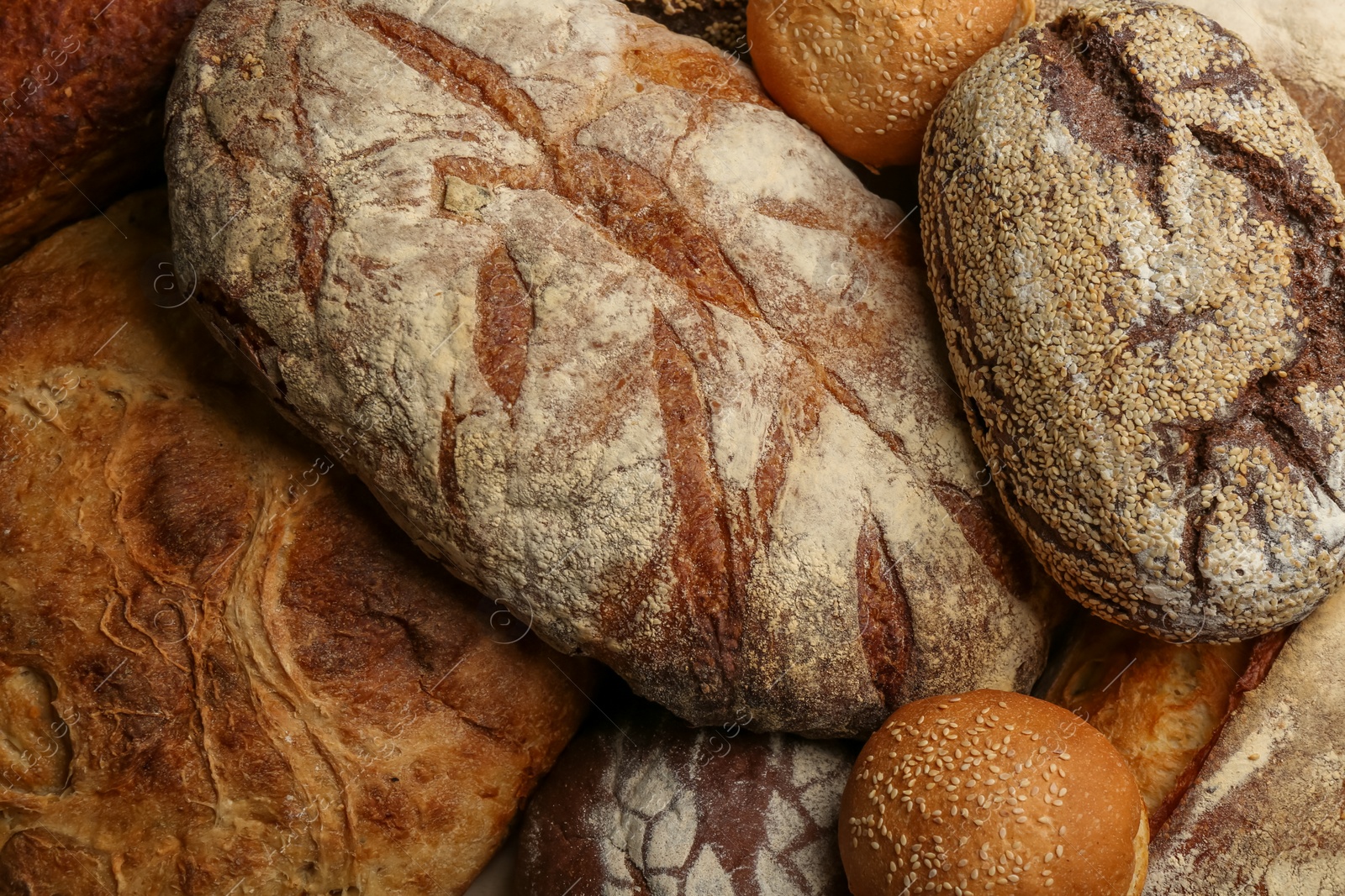 Photo of Different kinds of delicious bread as background, top view