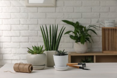 Photo of Beautiful potted succulent plants and tools on white wooden table