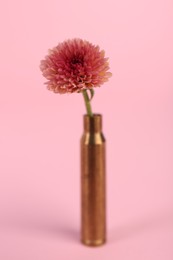 Bullet cartridge case and beautiful chrysanthemum flower on pink background