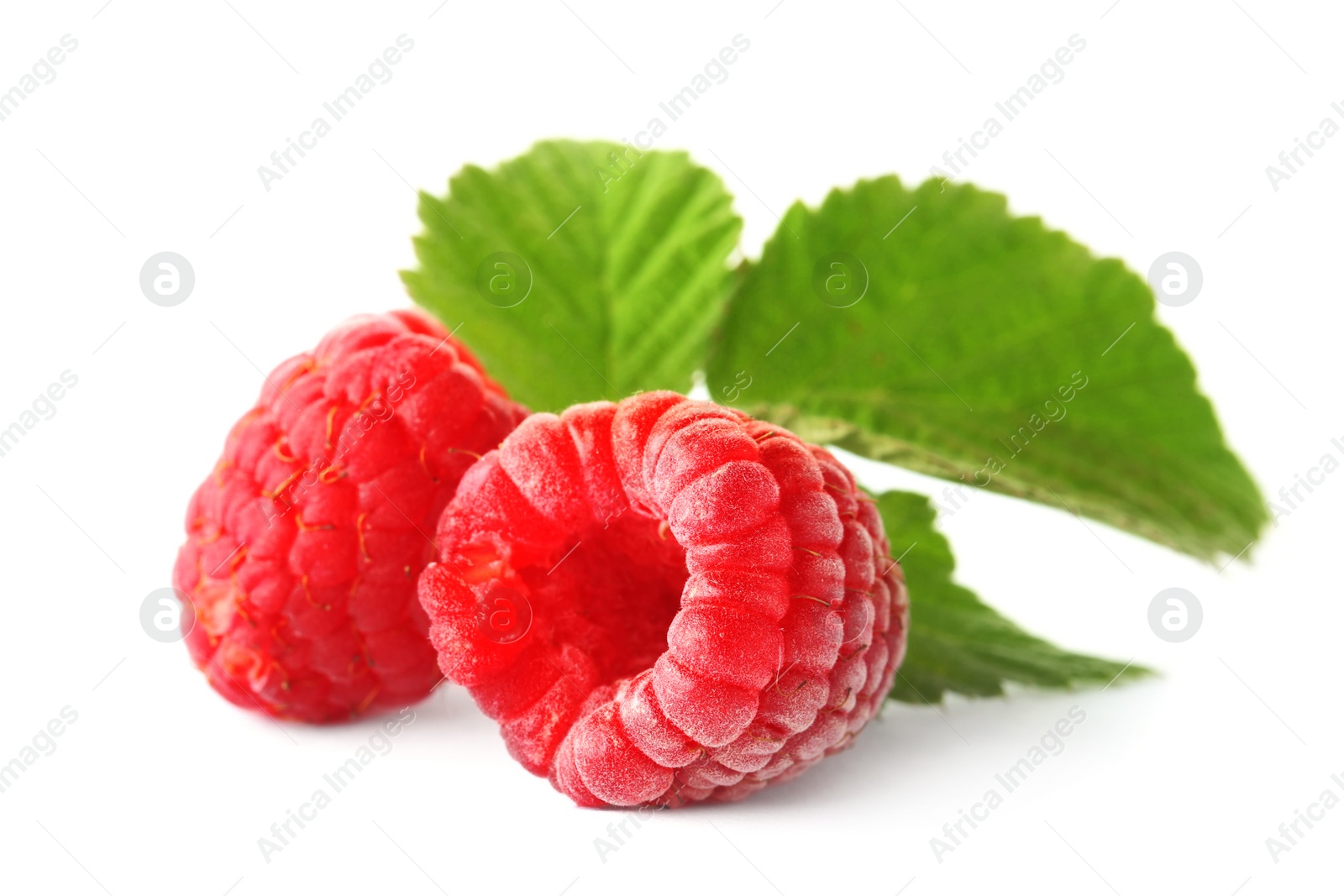 Photo of Delicious fresh ripe raspberries on white background