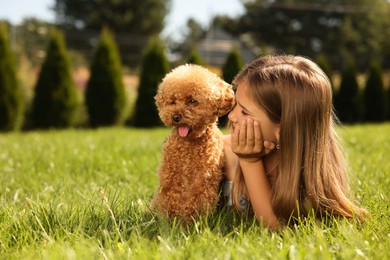 Beautiful girl with cute Maltipoo dog on green lawn in park