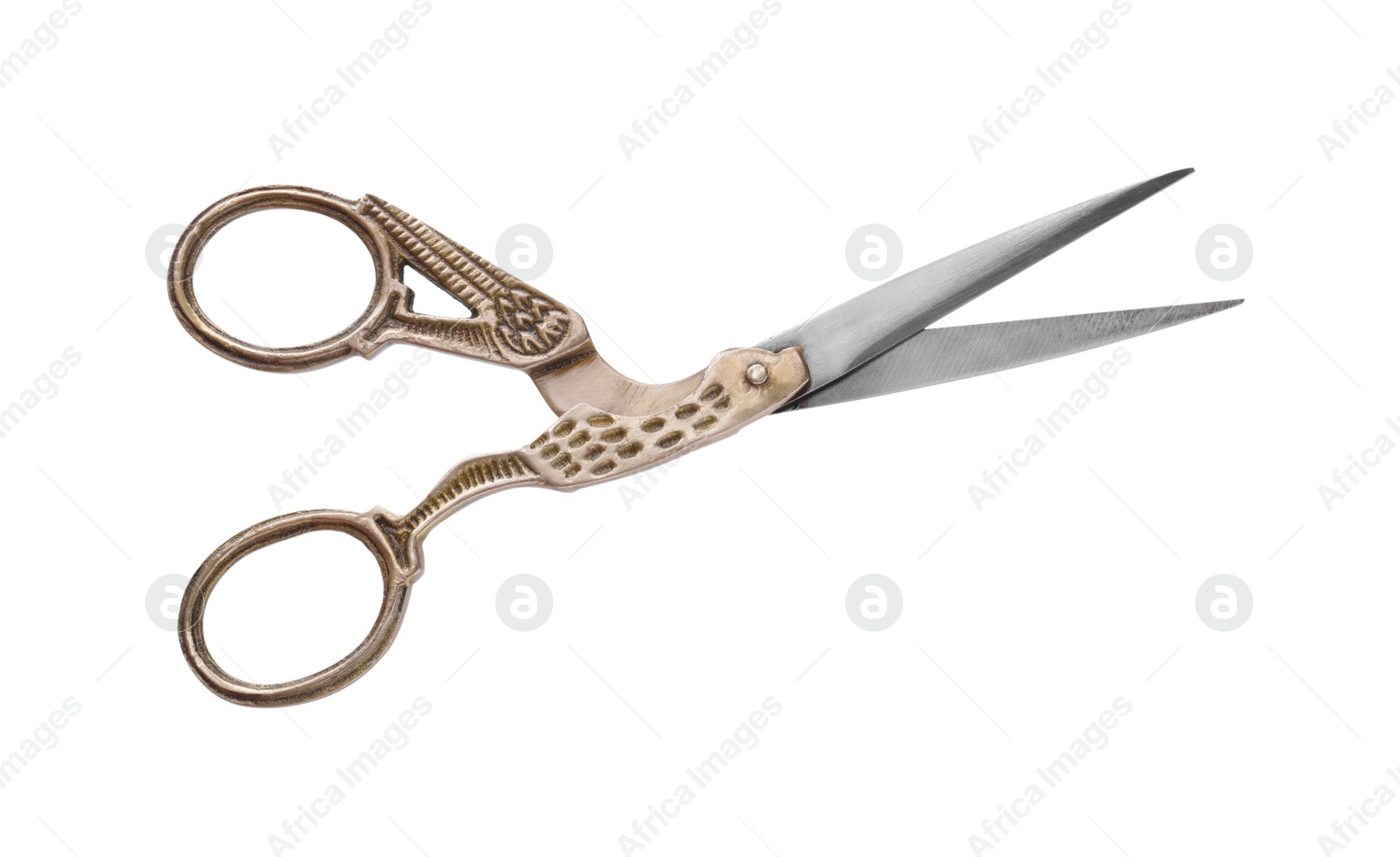 Photo of Beautiful scissors with bird shaped handles on white background