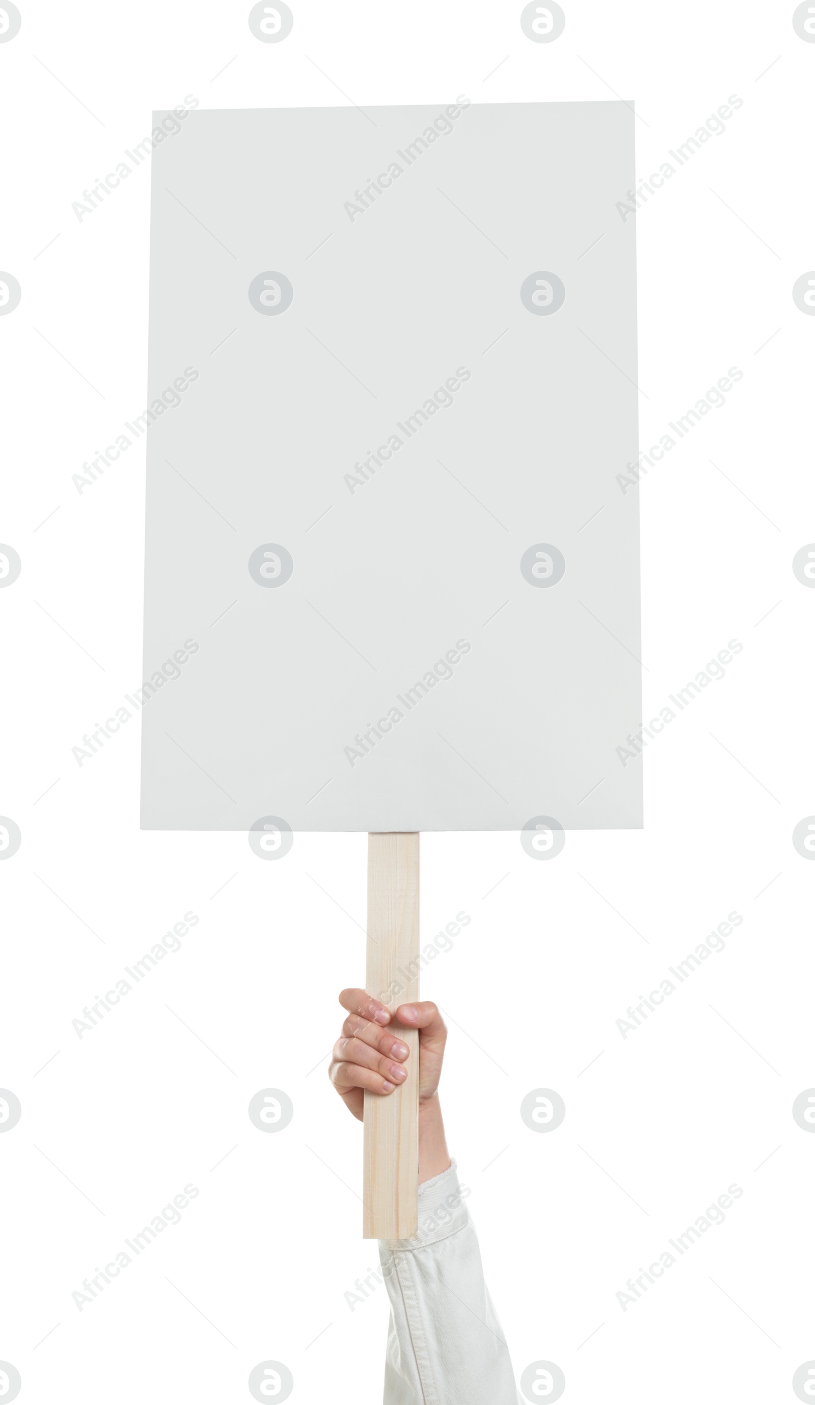 Photo of Woman holding blank protest sign on white background, closeup