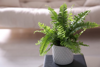 Photo of Beautiful potted fern on book in living room. Space for text