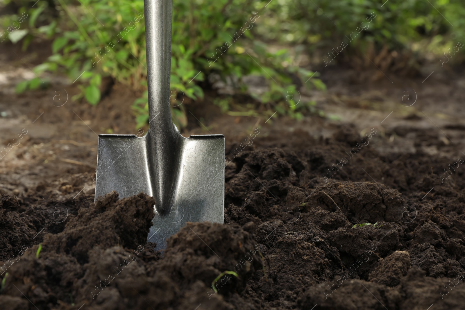 Photo of Shovel in soil outdoors, space for text. Gardening tool