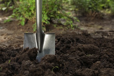 Photo of Shovel in soil outdoors, space for text. Gardening tool