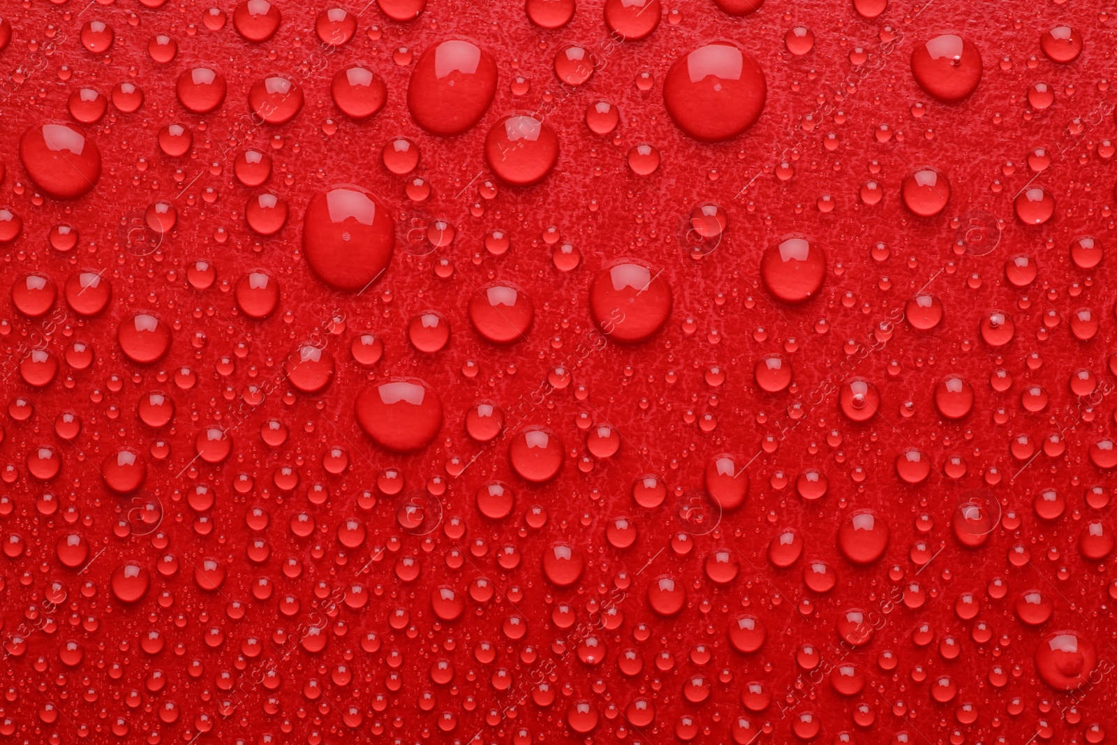 Photo of Water drops on red background, top view