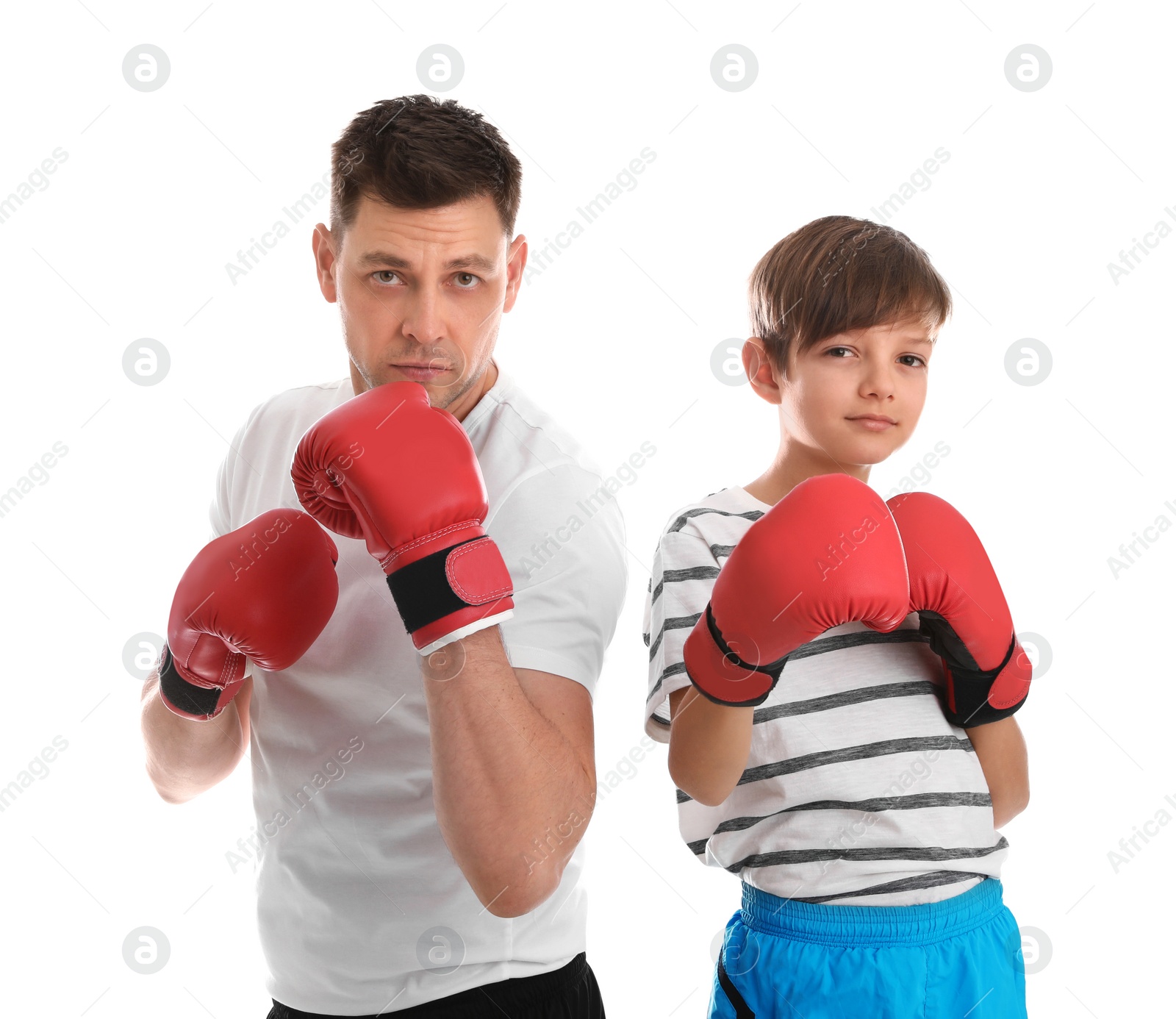 Photo of Dad and his son with boxing gloves on white background