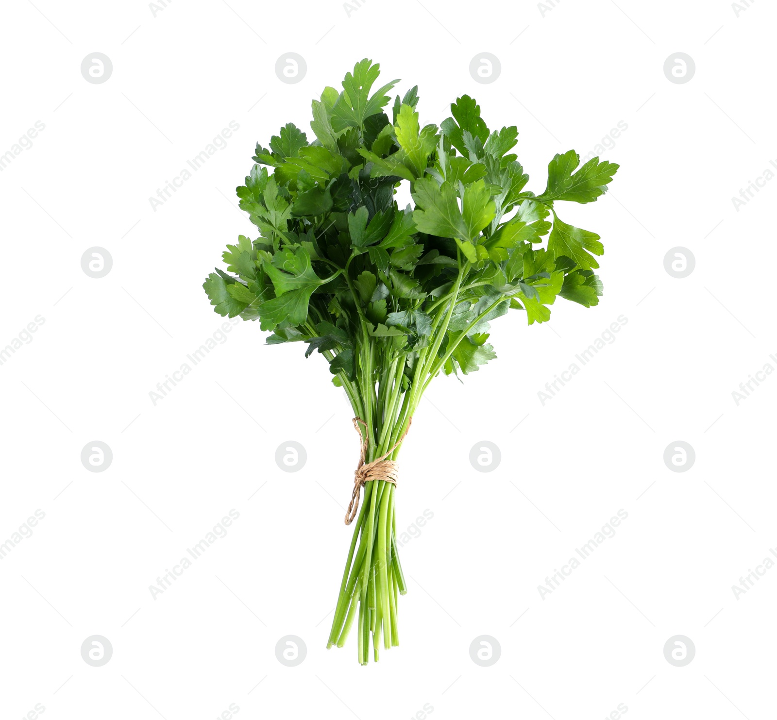 Photo of Bunch of fresh green parsley isolated on white