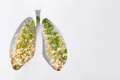 Photo of Human lungs shape hole in white paper with beautiful flowers, top view. Space for text