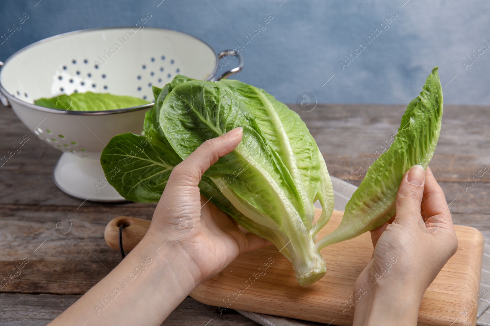 Photo of Woman with fresh ripe cos lettuce on table