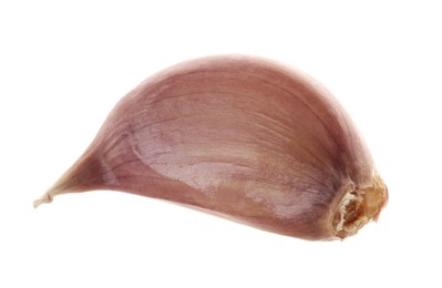 Photo of One unpeeled clove of garlic isolated on white