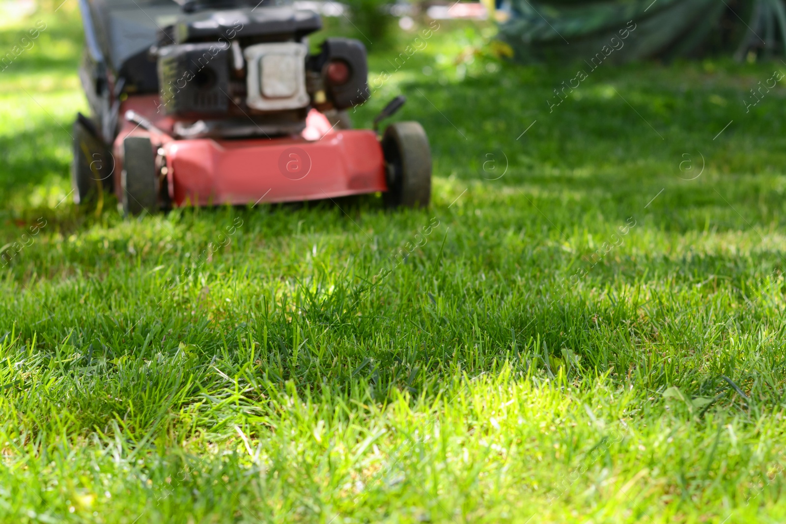 Photo of Modern garden lawn mower cutting green grass outdoors