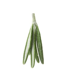 Photo of Fresh green rosemary leaves on white background