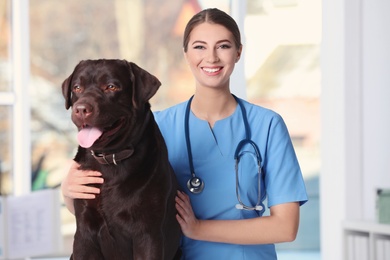 Photo of Veterinarian doc with dog in animal clinic