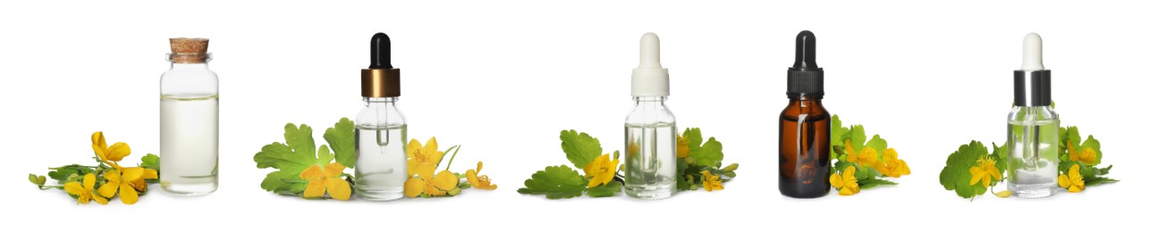 Image of Set with celandine essential oil in bottles on white background. Banner design