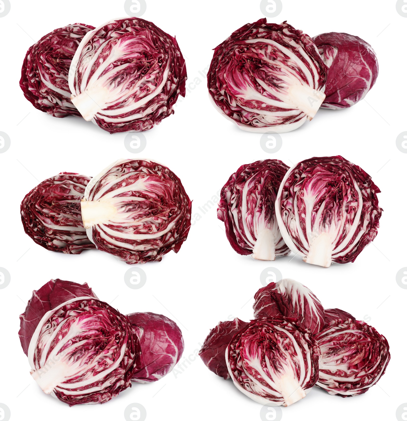 Image of Set with fresh ripe radicchios on white background 