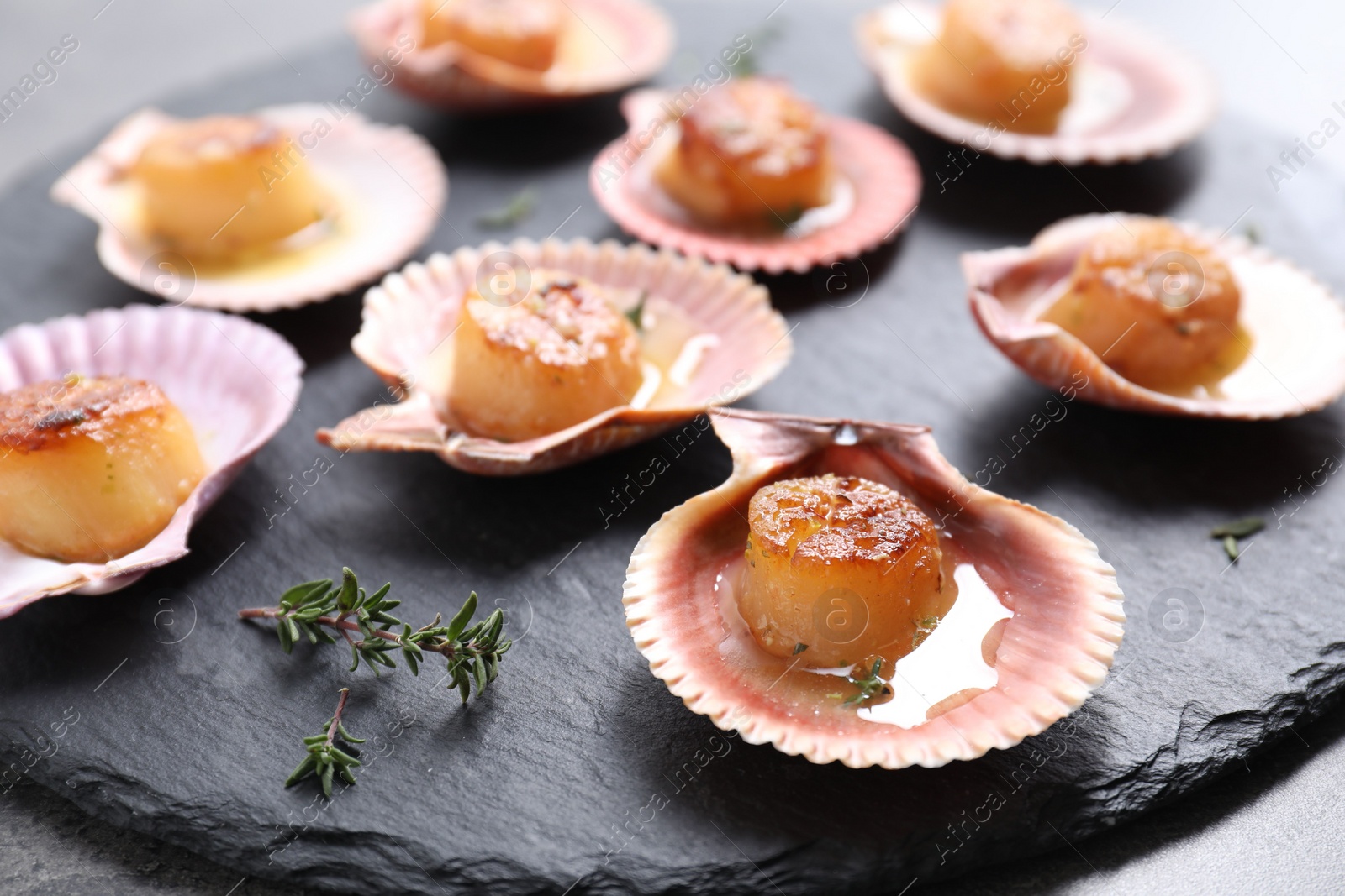 Photo of Delicious fried scallops in shells on grey table, closeup