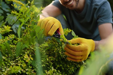 Photo of Happy man cutting plant outdoors on sunny day, closeup. Gardening time
