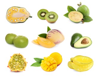 Set with different tasty exotic fruits on white background