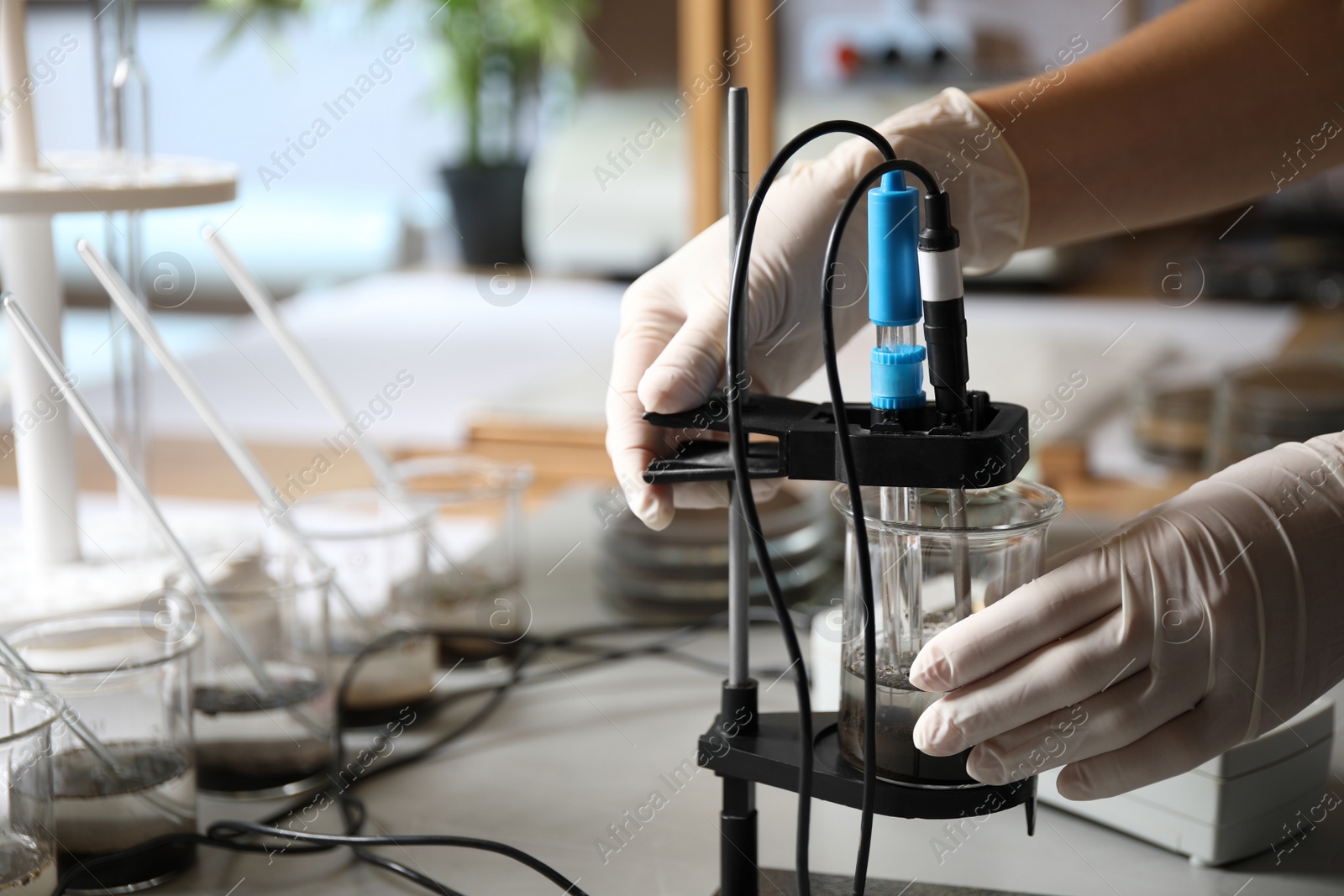 Photo of Scientist measuring acidity and pH of soil at table, closeup. Laboratory analysis