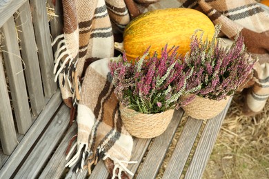 Photo of Beautiful heather flowers in pots and pumpkin on wooden bench outdoors, above view. Space for text