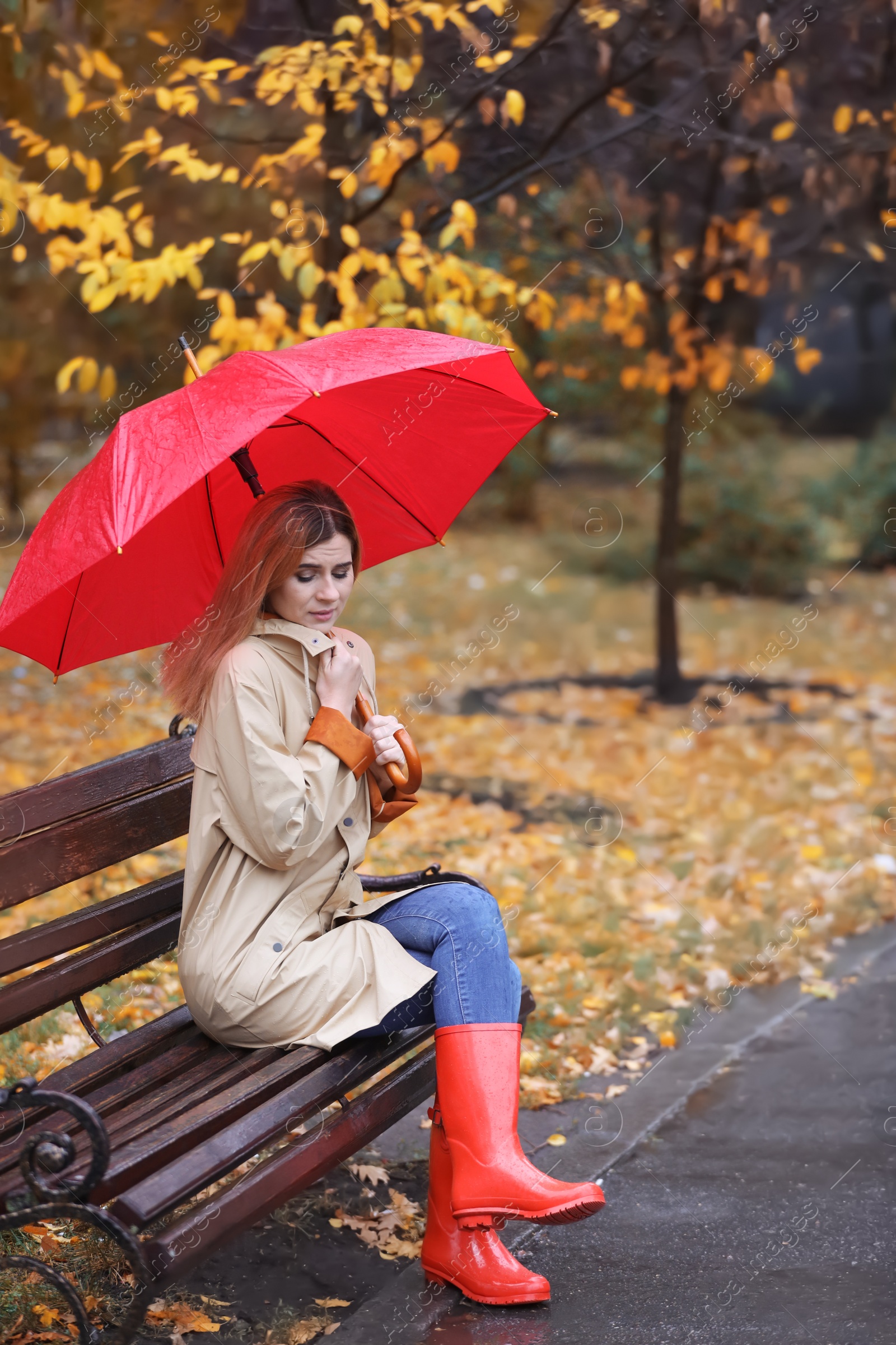 Photo of Woman with umbrella sitting on bench in autumn park. Rainy day