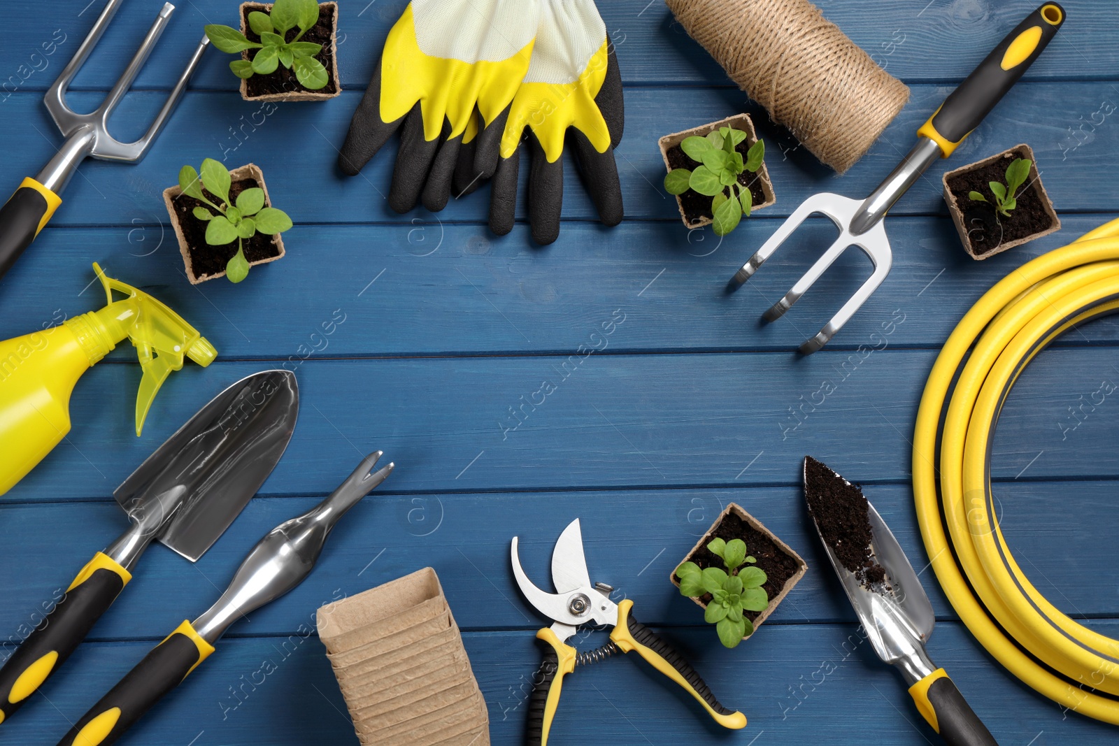 Photo of Frame of gardening tools and green plants on blue wooden background, flat lay. Space for text