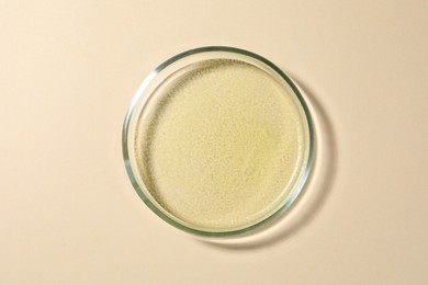 Petri dish with color liquid on beige background