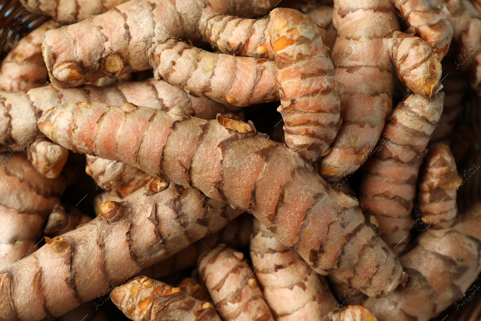 Photo of Many raw turmeric roots as background, top view