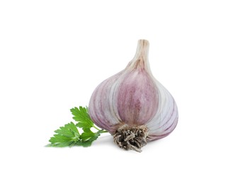 Photo of Fresh garlic bulb and parsley isolated on white