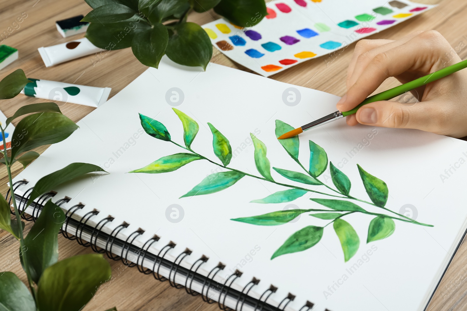 Photo of Woman painting green twig in sketchbook at wooden table, closeup