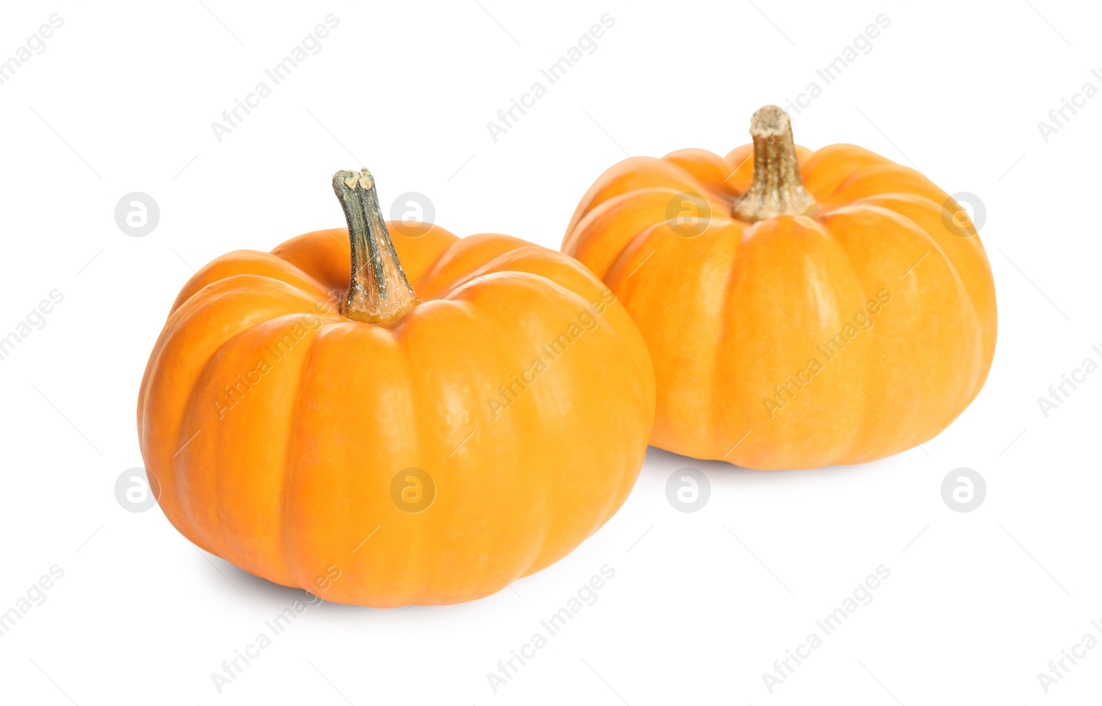 Photo of Beautiful ripe orange pumpkins on white background