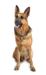 Photo of Cute dog with stethoscope as veterinarian on white background