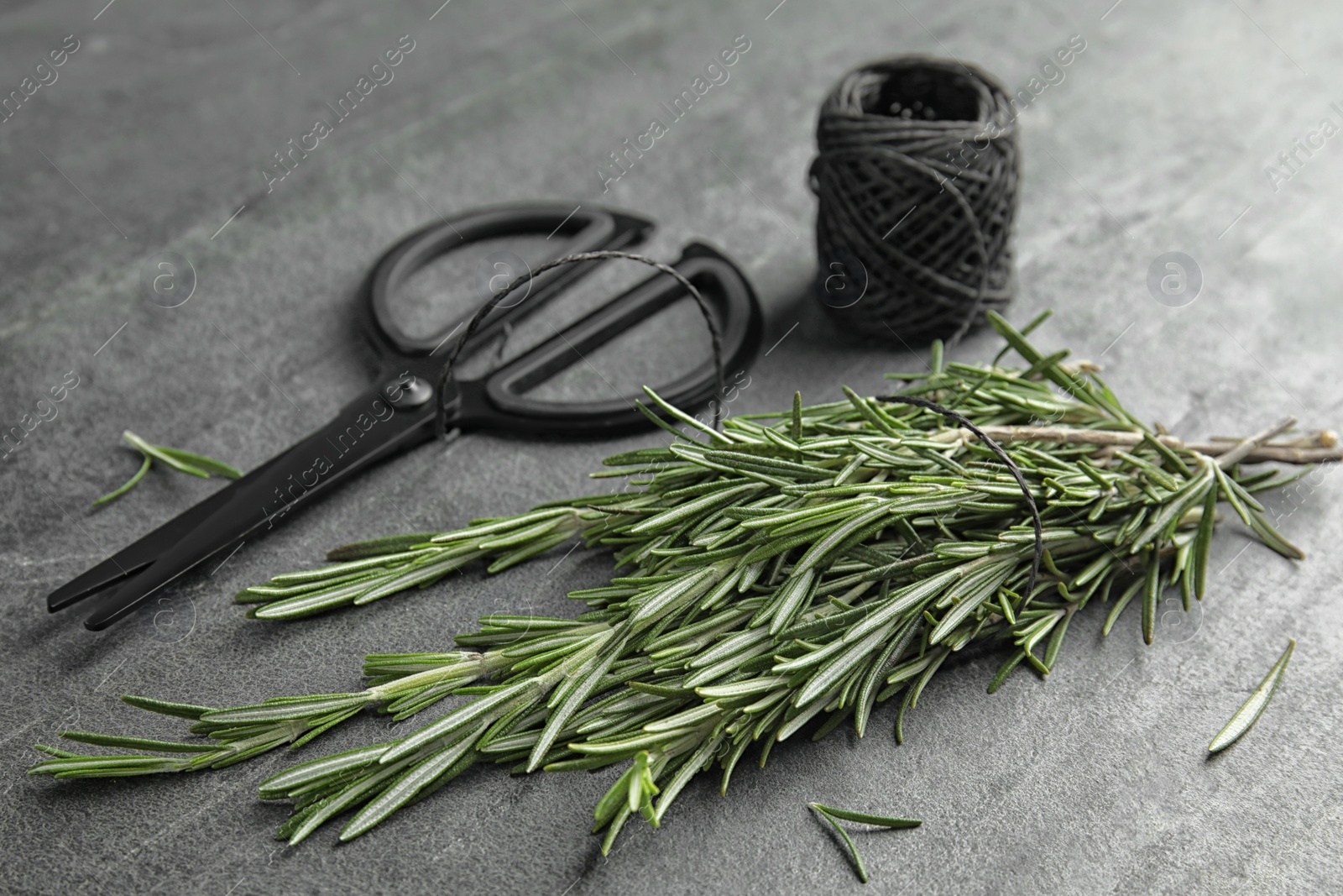 Photo of Fresh rosemary twigs, twine and scissors on grey table