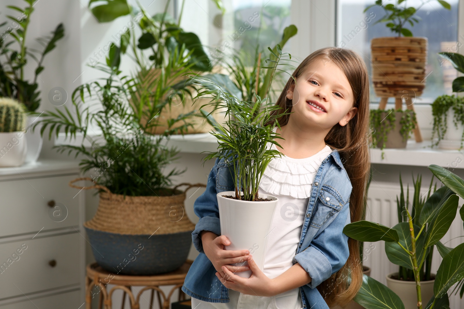 Photo of Cute little girl holding beautiful green plant at home. House decor