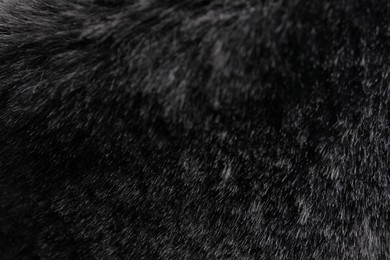 Texture of dark grey faux fur as background, closeup
