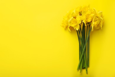 Beautiful daffodil bouquet on yellow background, top view. Space for text