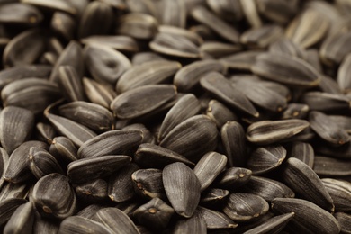 Raw sunflower seeds as background, closeup view