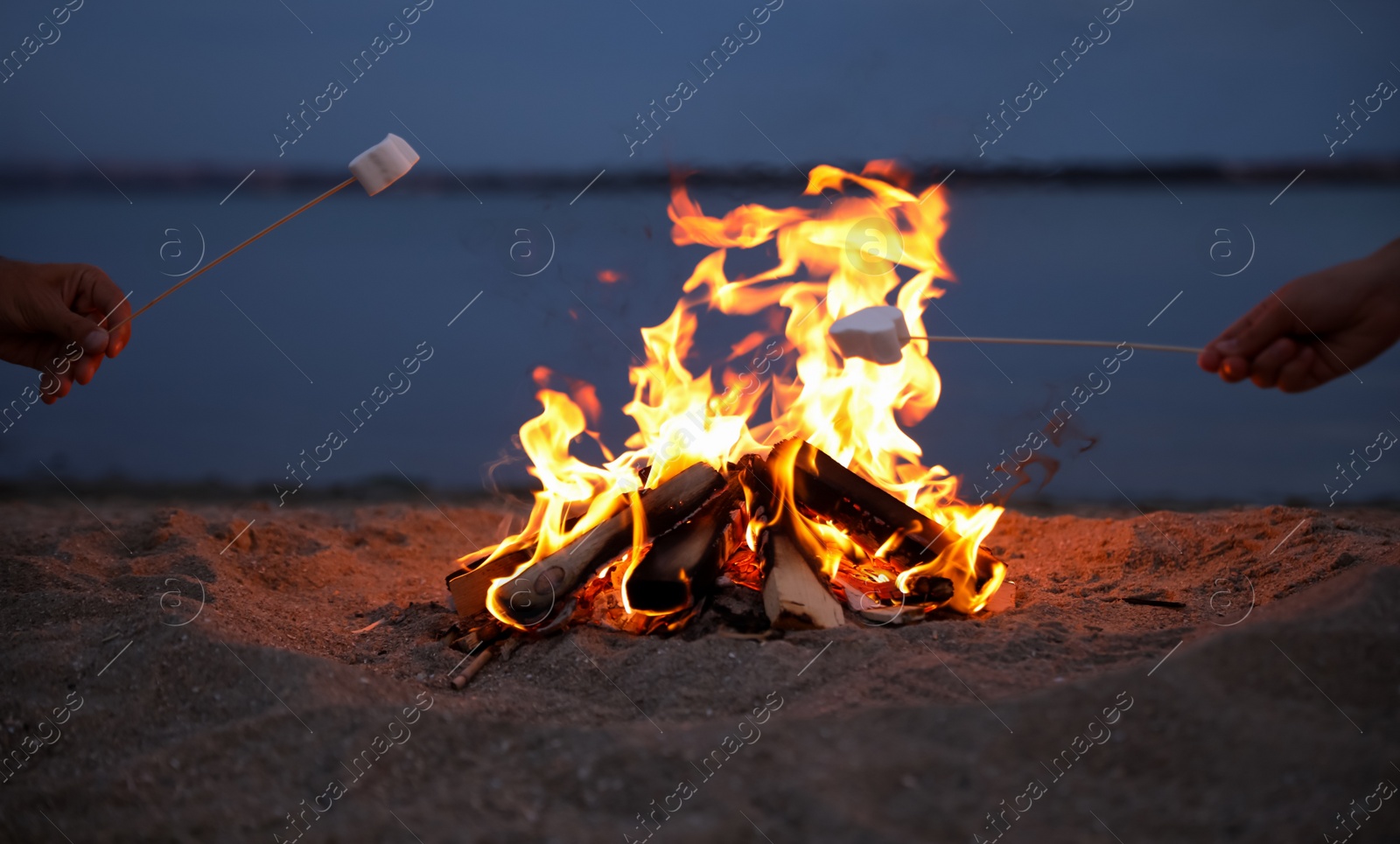 Photo of People roasting marshmallows over burning firewood on beach, closeup