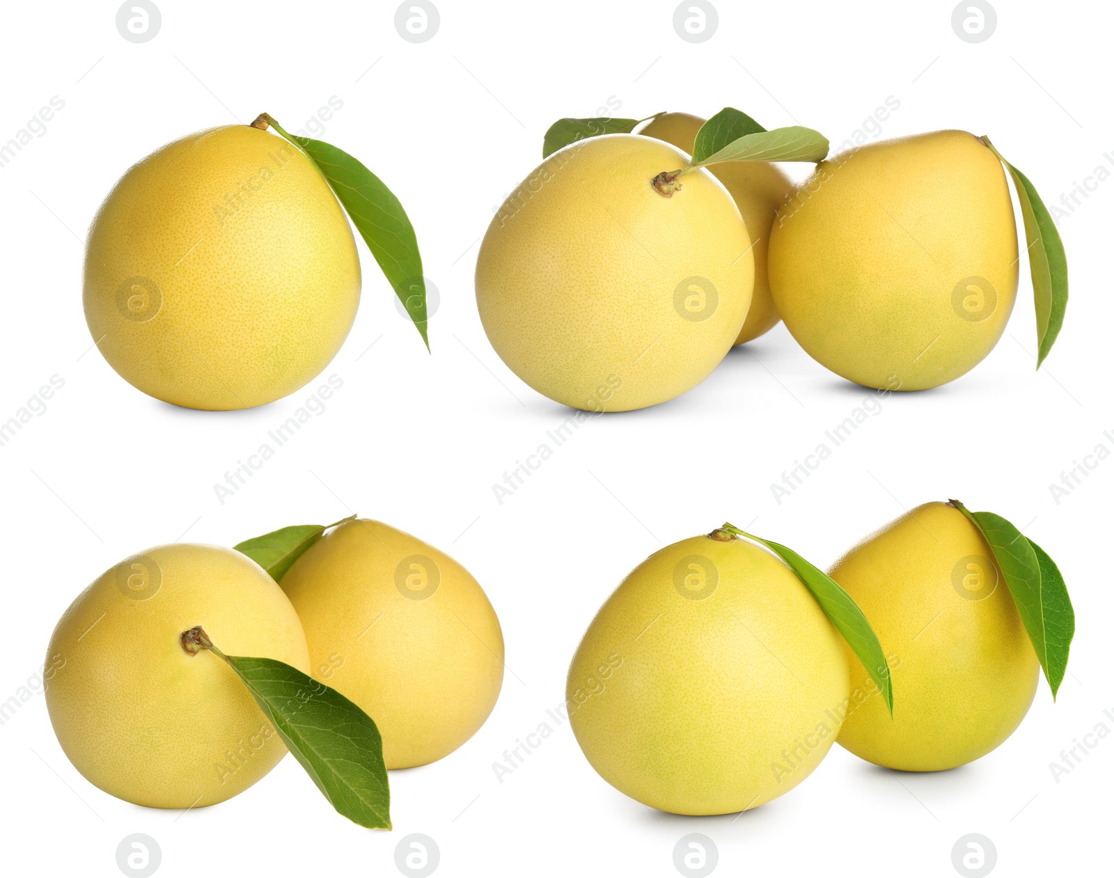 Image of Set of fresh pomelo fruits on white background