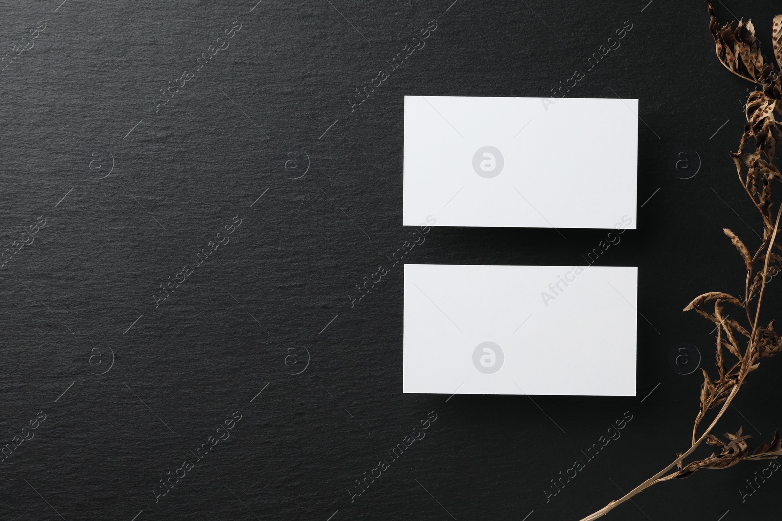Photo of Empty business cards and dried plant on black background, flat lay. Space for text. Mockup for design