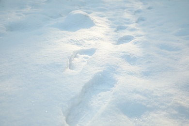 Footprints on white snow outdoors. Winter season