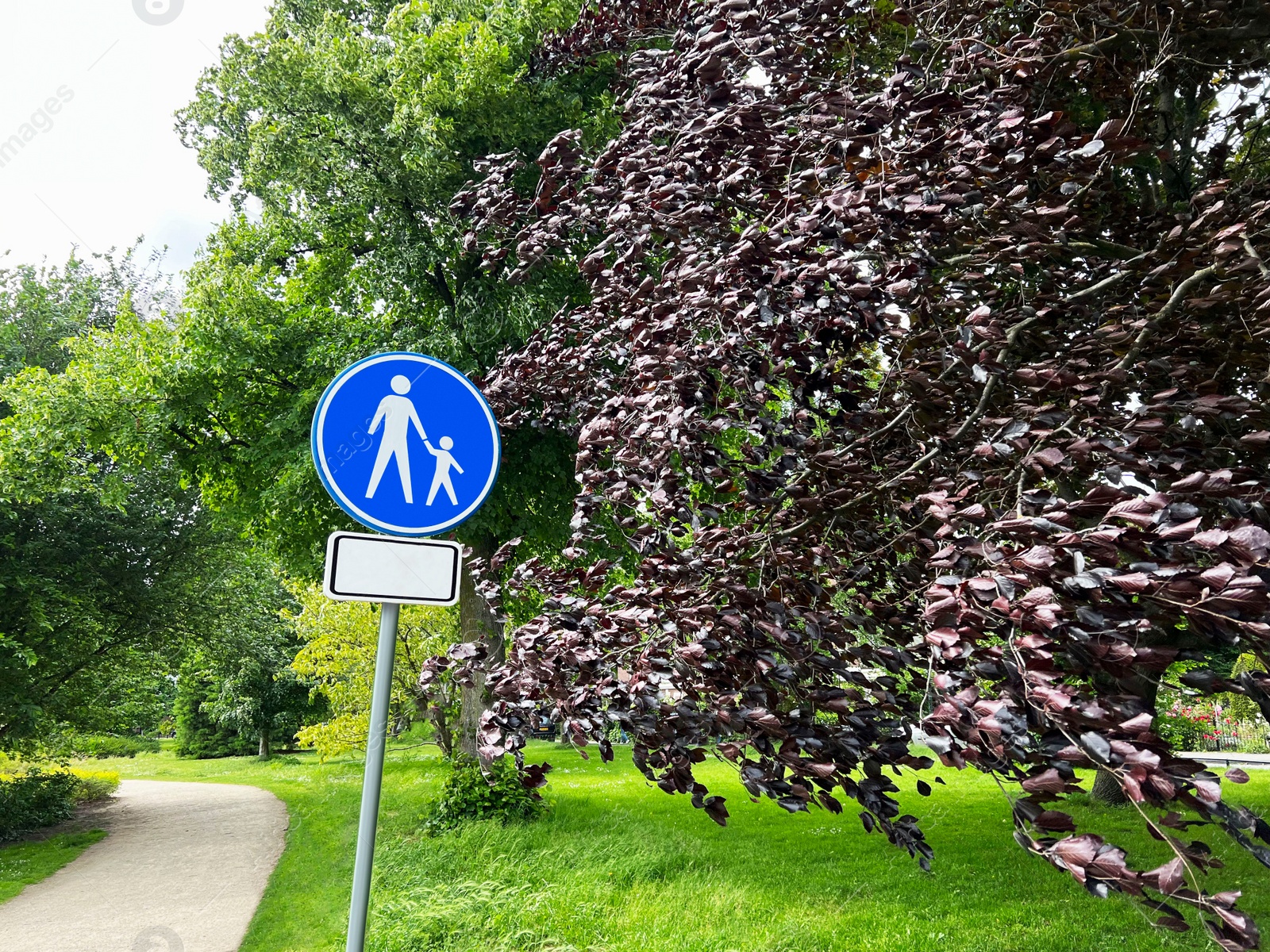 Photo of Road sign Footpath in park on sunny day