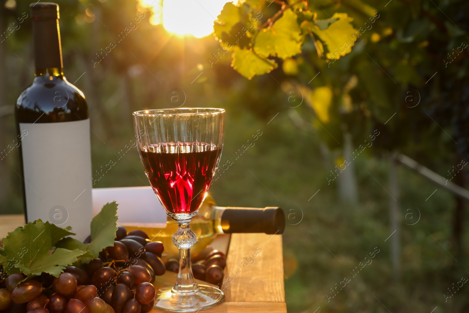 Photo of Composition with wine and ripe grapes on wooden table in vineyard