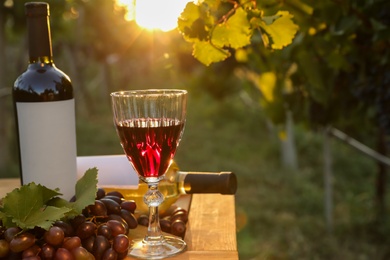 Composition with wine and ripe grapes on wooden table in vineyard