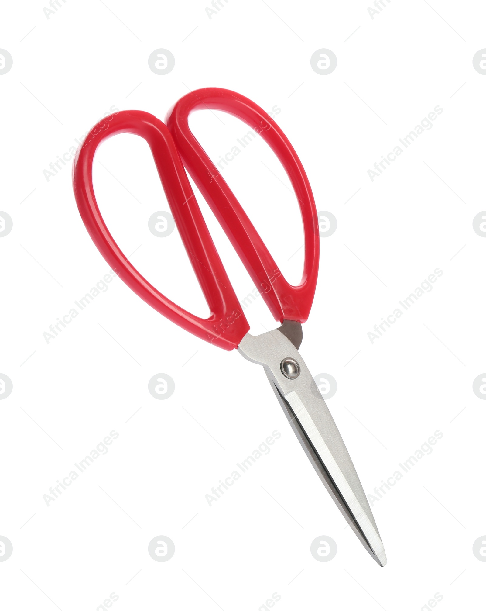 Photo of Pair of sewing scissors on white background