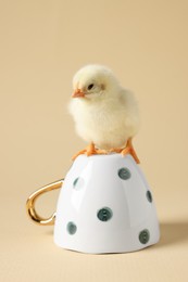 Cute chick on cup against beige background, closeup. Baby animal
